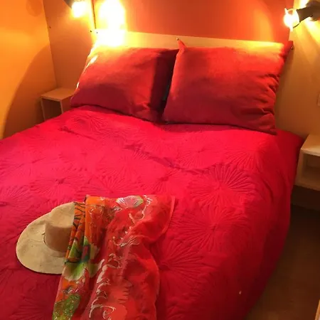 Les Orangers مكان تخييم San-Martino-di-Lota