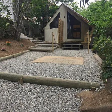 Les Orangers San-Martino-di-Lota