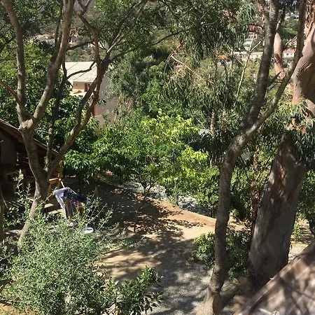 Les Orangers * San-Martino-di-Lota