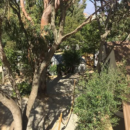 Les Orangers مكان تخييم San-Martino-di-Lota