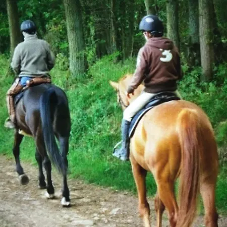 مكان تخييم Les Orangers