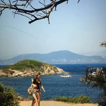 Les Orangers * San-Martino-di-Lota