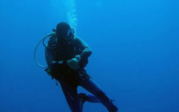 Les Orangers San-Martino-di-Lota
