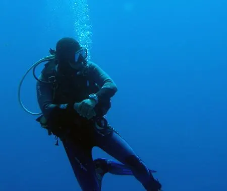 Les Orangers San-Martino-di-Lota