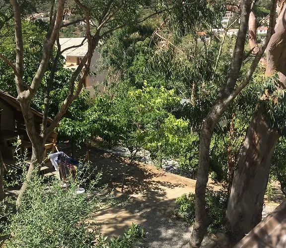 Les Orangers * San-Martino-di-Lota