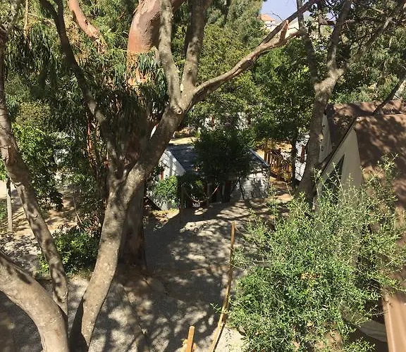 Les Orangers אתר קמפינג San-Martino-di-Lota