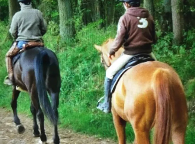 אתר קמפינג Les Orangers