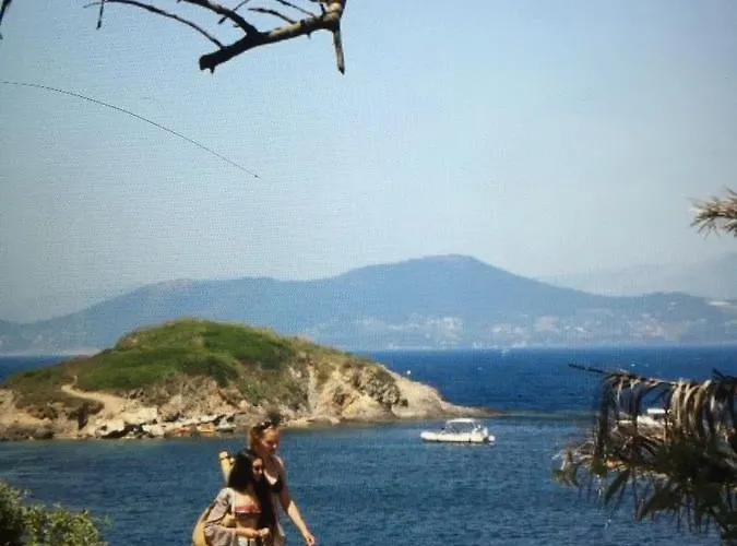 Les Orangers * San-Martino-di-Lota