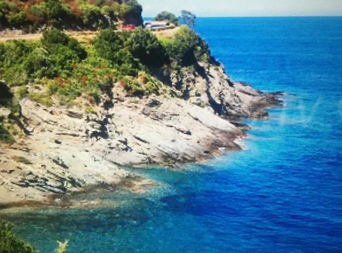 Camping Les Orangers *